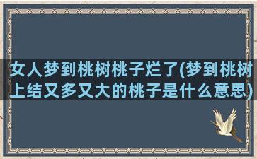 女人梦到桃树桃子烂了(梦到桃树上结又多又大的桃子是什么意思)