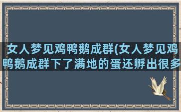 女人梦见鸡鸭鹅成群(女人梦见鸡鸭鹅成群下了满地的蛋还孵出很多照鸡)