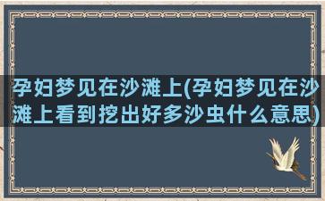 孕妇梦见在沙滩上(孕妇梦见在沙滩上看到挖出好多沙虫什么意思)