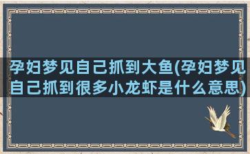 孕妇梦见自己抓到大鱼(孕妇梦见自己抓到很多小龙虾是什么意思)