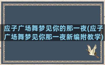 应子广场舞梦见你的那一夜(应子广场舞梦见你那一夜新编附教学)