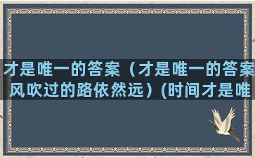 才是唯一的答案（才是唯一的答案风吹过的路依然远）(时间才是唯一的答案)