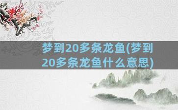 梦到20多条龙鱼(梦到20多条龙鱼什么意思)