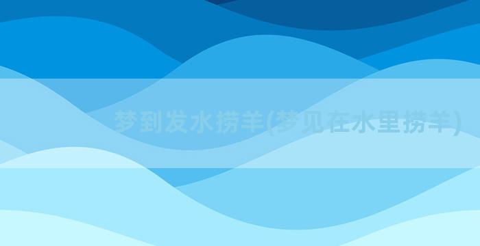 梦到发水捞羊(梦见在水里捞羊)