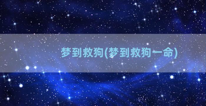 梦到救狗(梦到救狗一命)