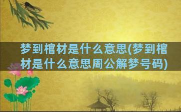 梦到棺材是什么意思(梦到棺材是什么意思周公解梦号码)