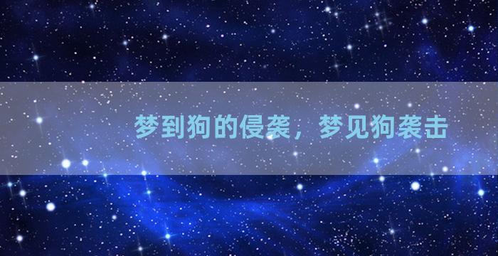 梦到狗的侵袭，梦见狗袭击