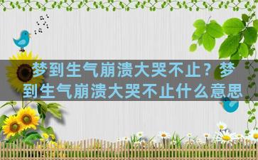 梦到生气崩溃大哭不止？梦到生气崩溃大哭不止什么意思