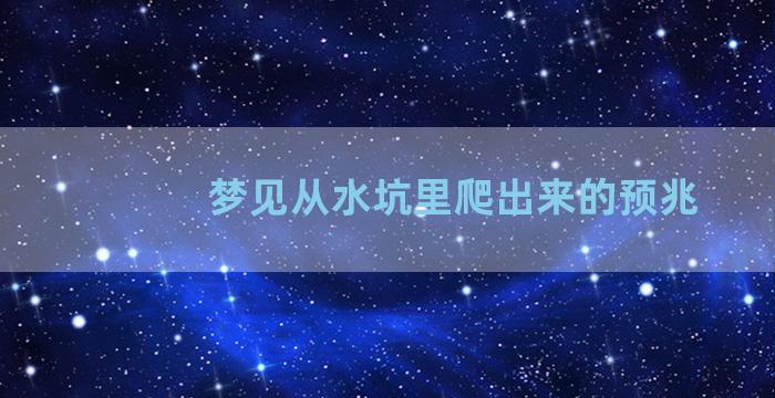 梦见从水坑里爬出来的预兆