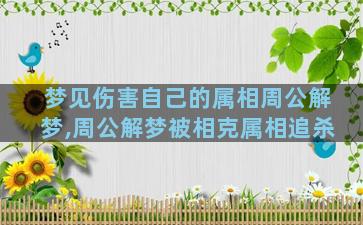 梦见伤害自己的属相周公解梦,周公解梦被相克属相追杀