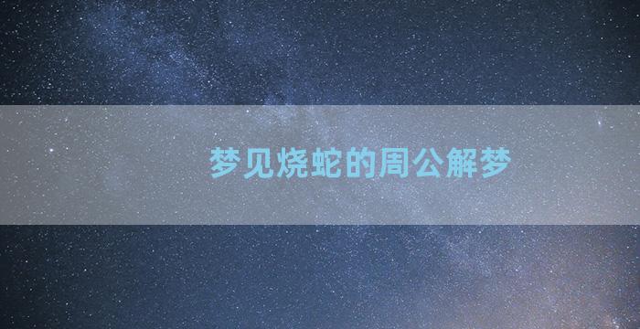 梦见烧蛇的周公解梦