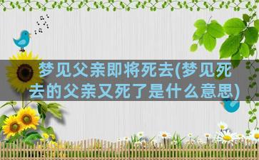 梦见父亲即将死去(梦见死去的父亲又死了是什么意思)