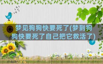 梦见狗狗快要死了(梦到狗狗快要死了自己把它救活了)