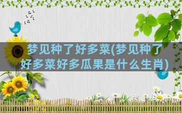 梦见种了好多菜(梦见种了好多菜好多瓜果是什么生肖)