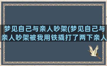 梦见自己与亲人吵架(梦见自己与亲人吵架被我用铁撬打了两下亲人就不见了)