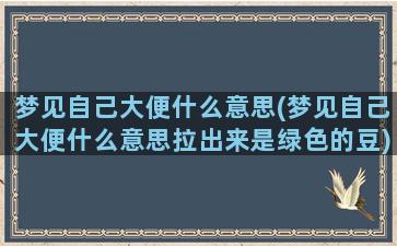 梦见自己大便什么意思(梦见自己大便什么意思拉出来是绿色的豆)