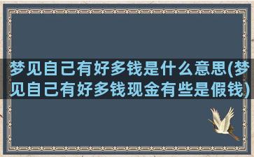 梦见自己有好多钱是什么意思(梦见自己有好多钱现金有些是假钱)