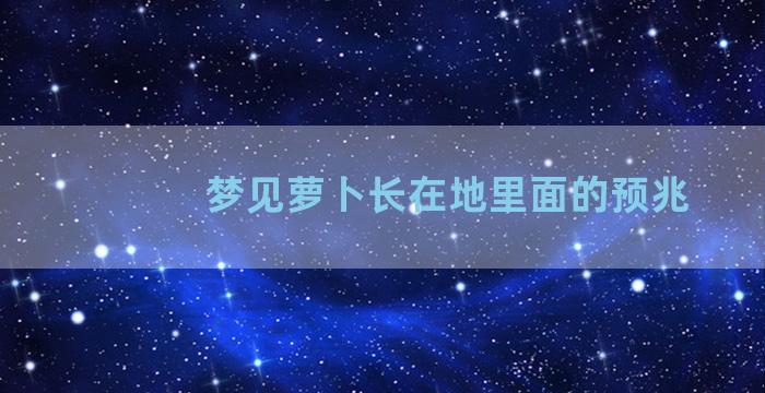 梦见萝卜长在地里面的预兆