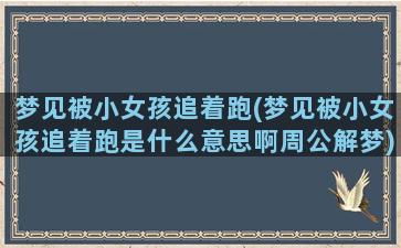 梦见被小女孩追着跑(梦见被小女孩追着跑是什么意思啊周公解梦)