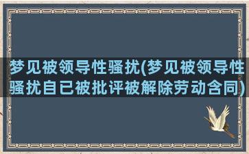 梦见被领导性骚扰(梦见被领导性骚扰自已被批评被解除劳动含同)