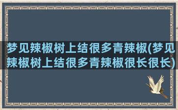 梦见辣椒树上结很多青辣椒(梦见辣椒树上结很多青辣椒很长很长)