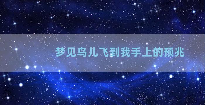 梦见鸟儿飞到我手上的预兆