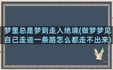 梦里总是梦到走入绝境(做梦梦见自己走进一条路怎么都走不出来)