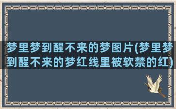 梦里梦到醒不来的梦图片(梦里梦到醒不来的梦红线里被软禁的红)