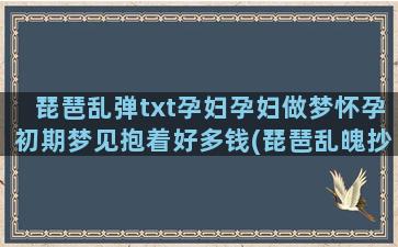 琵琶乱弹txt孕妇孕妇做梦怀孕初期梦见抱着好多钱(琵琶乱魄抄)